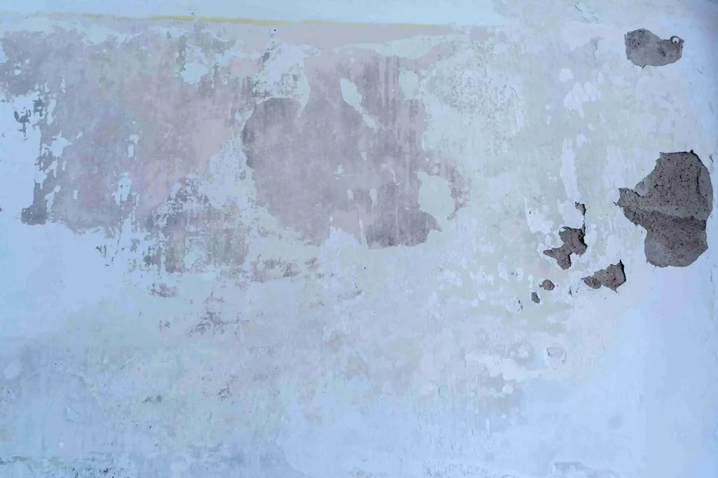 Asbestos Abatement in San Diego